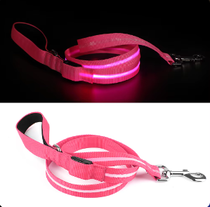 Laisse lumineuse pour chien