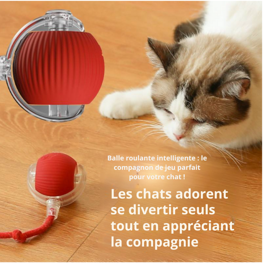 Ballon interactif pour chat