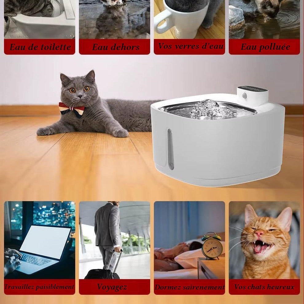 Fontaine à eau avec capteur de mouvement